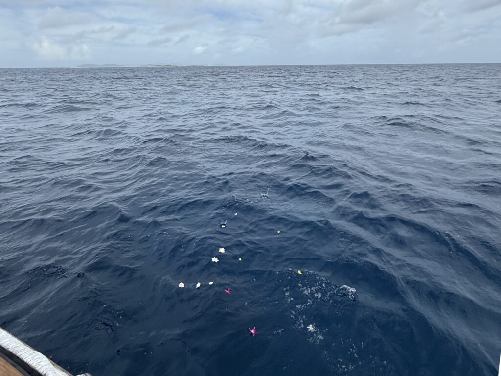 海洋に献花