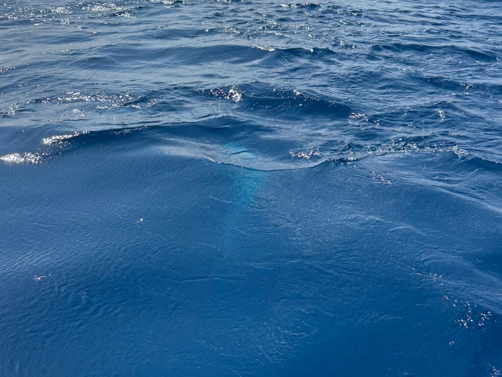 広がる遺骨